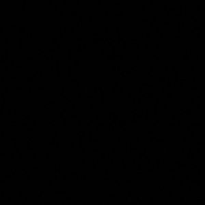 Meet your Posher, Jaiden